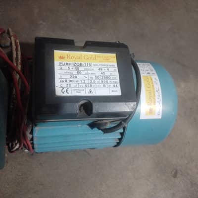 royal gold self suction pump