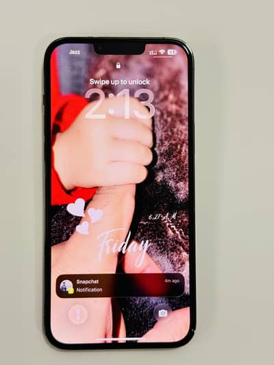 Apple iPhone 13 Pro Max