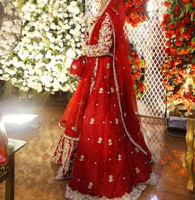 self coustmized contact 03324391545