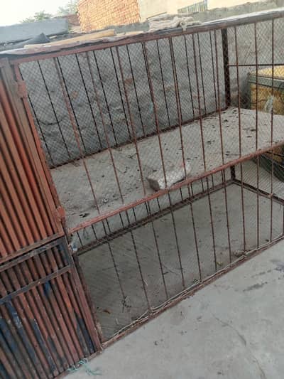 cage double 2 floor 1 and 2nd  wazni bi ha any Bird ka lay
