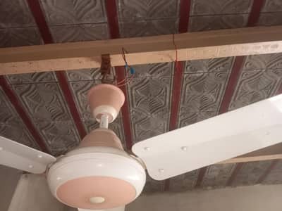 sonex fan