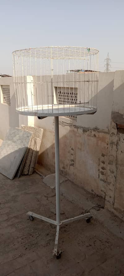 Peigions show cage 2.5 by 2.5 size
