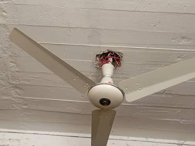 ceiling fan