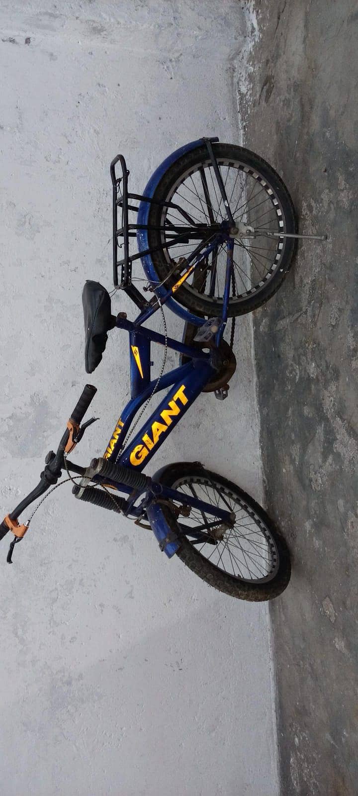 cycle 0