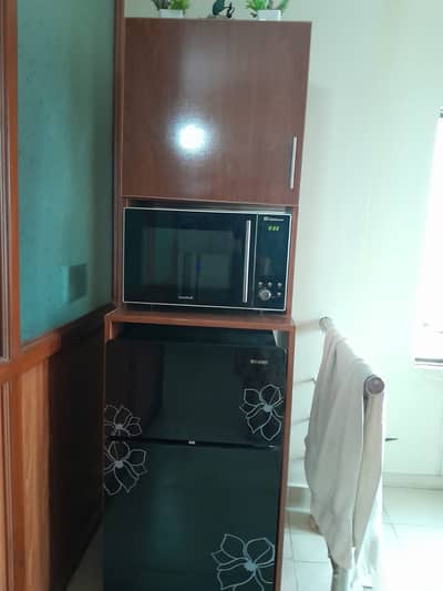 Small Fridge with customized cabinet
