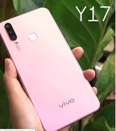 Vivo Y17
