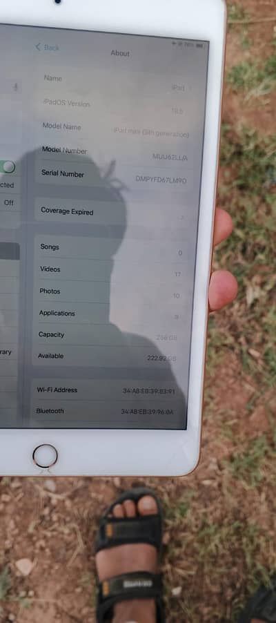 Ipad mini 5 generation  256GB  Gold color