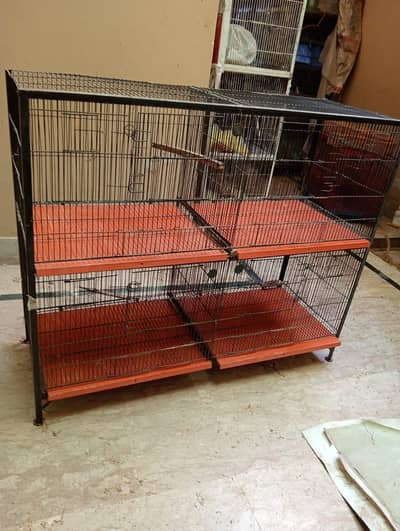 Love Bird angle cages available