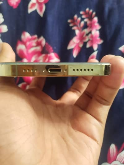 Sasta Apple iPhone 13 Pro Max