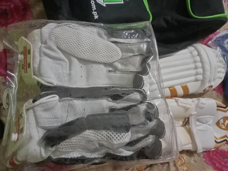 Cricket Kit 3