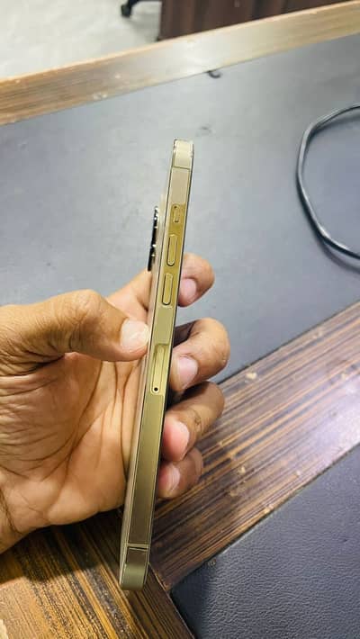 Iphone 12 Pro Max PTA 128GB 83BH