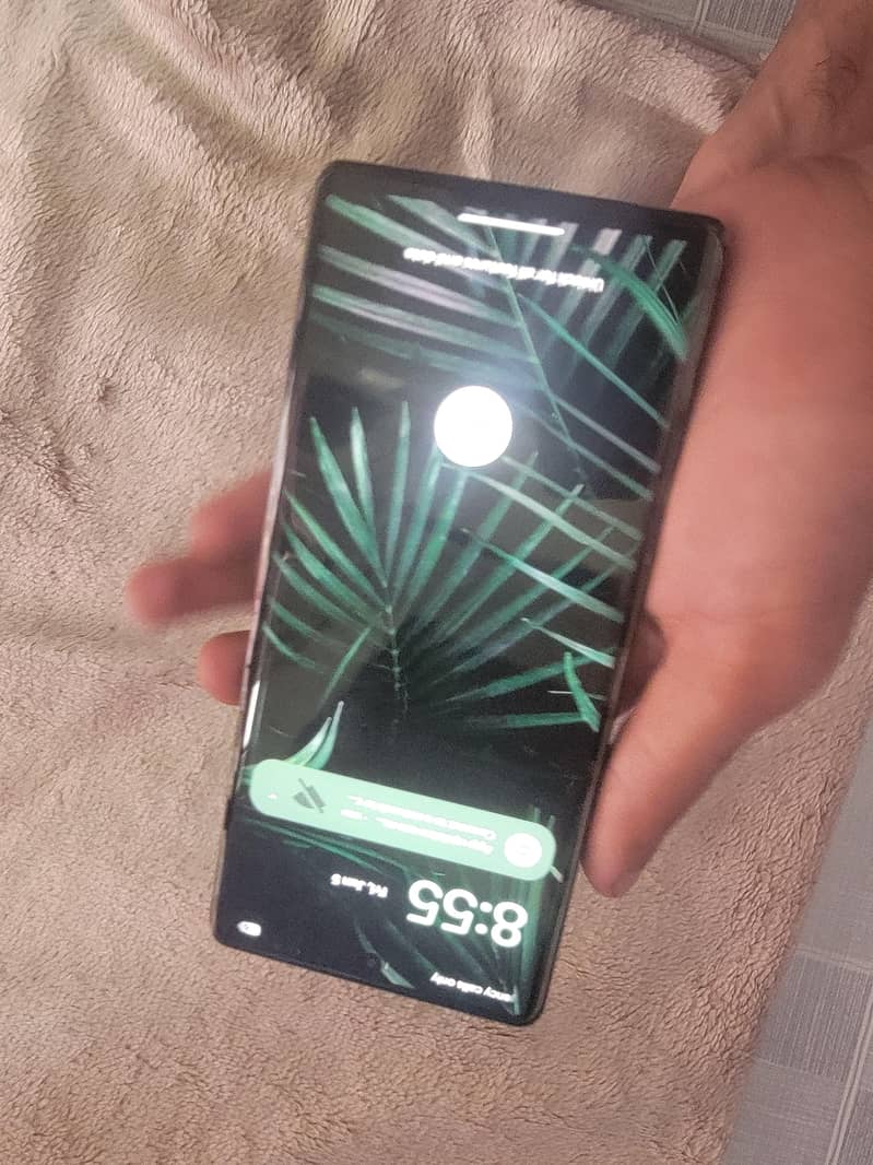 Google Pixel 6 Pro 2