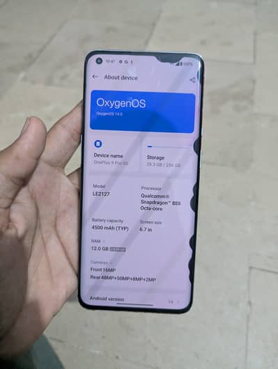 One Plus 9 Pro 12/256 GB