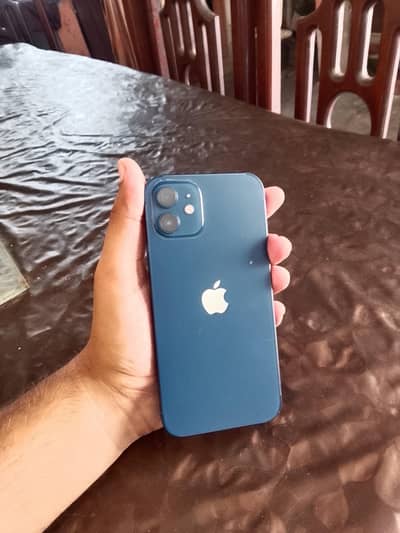 Apple iPhone 12 factory