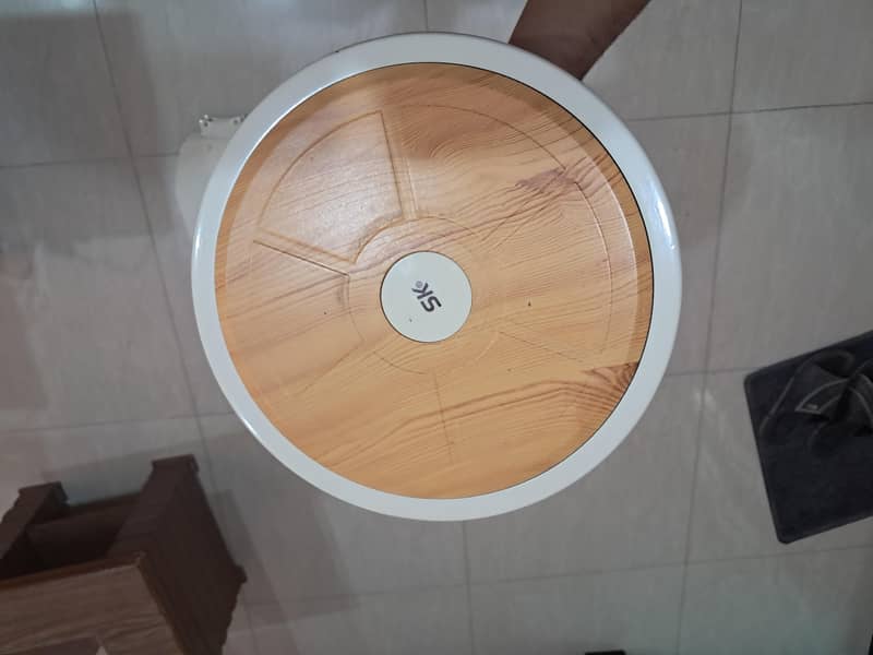 ceiling fan 2