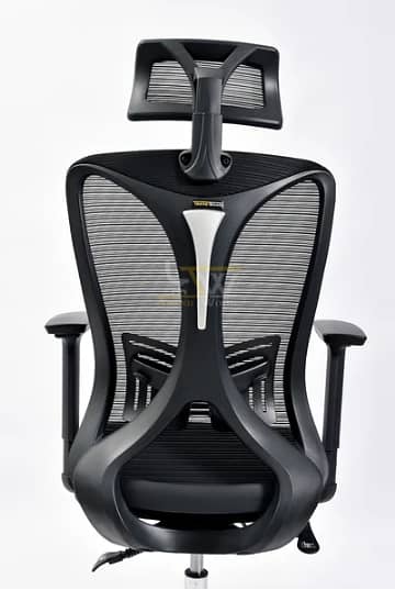 Spine flex 2