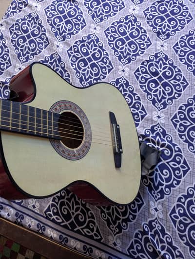 Guitar