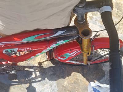 Sk bicycle