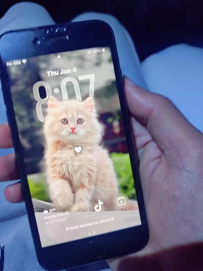 Apple iPhone SE 3rd Gen 128GB