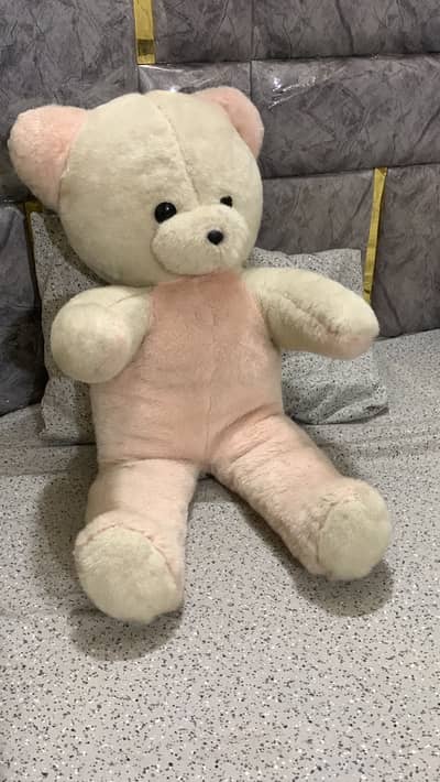 Big size teddy bear