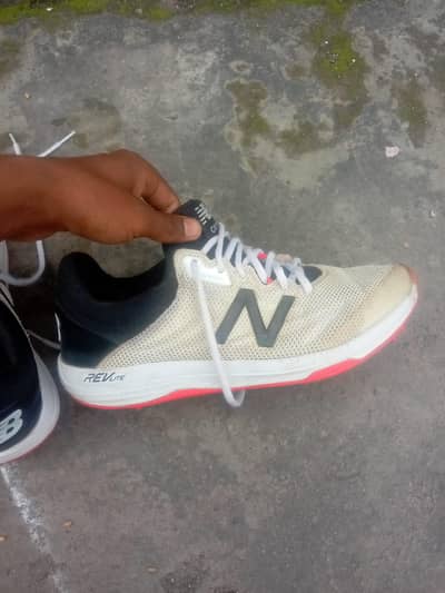 New balance cricket spikes shoes