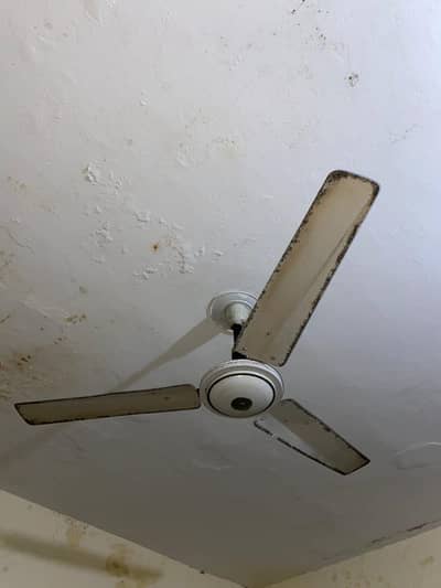 Home fan