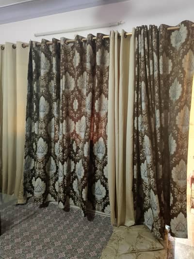curtains | premium quality curtain| brown&Golden curtains