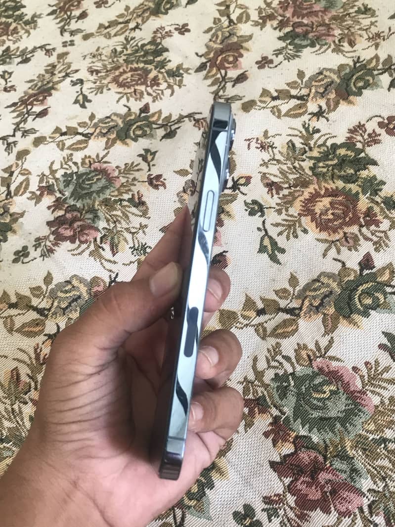 Apple iPhone 13 Pro Max 3