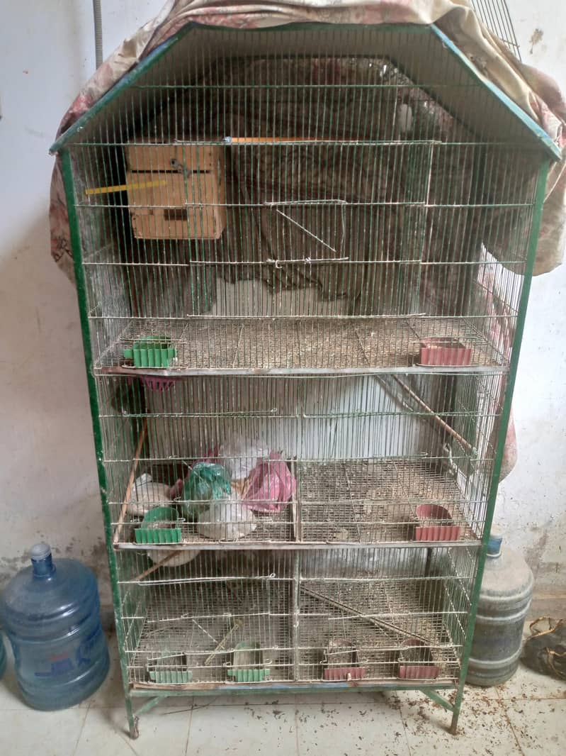 5 Portion Cage 1