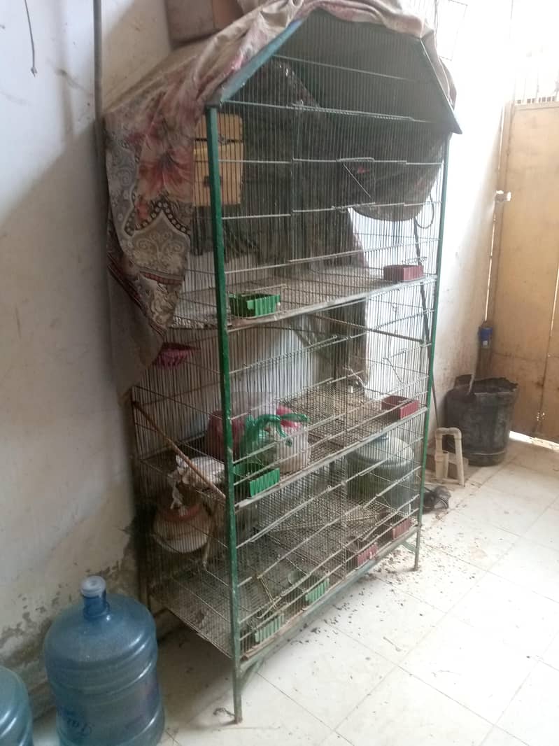 5 Portion Cage 2