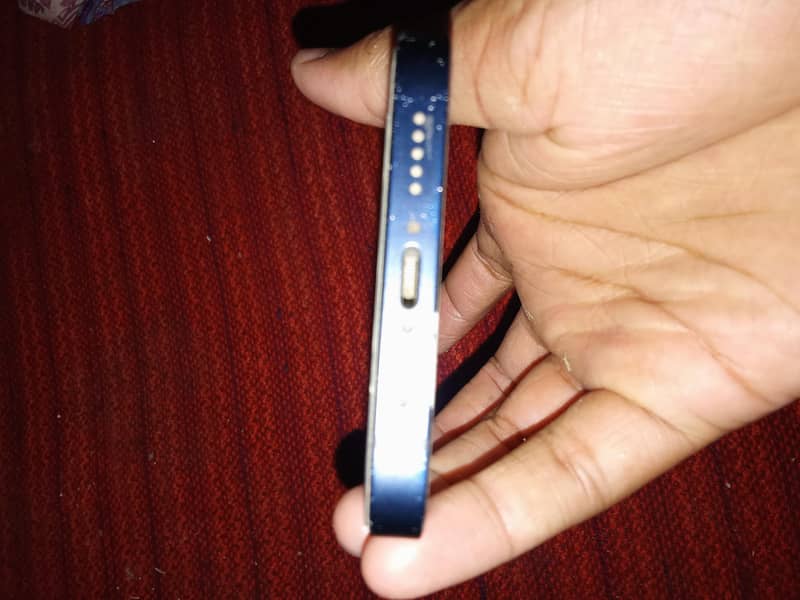 Apple iPhone 12 1