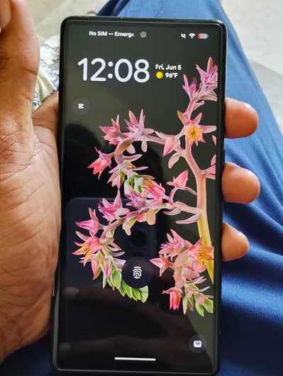 Google Pixel 6 pta approved