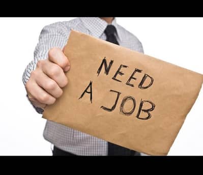 Need Job