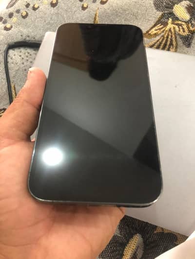 Apple iPhone 13 Pro Max JV