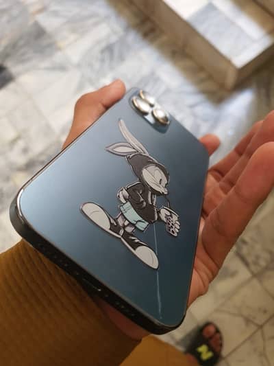 Apple iPhone 12 Pro Max