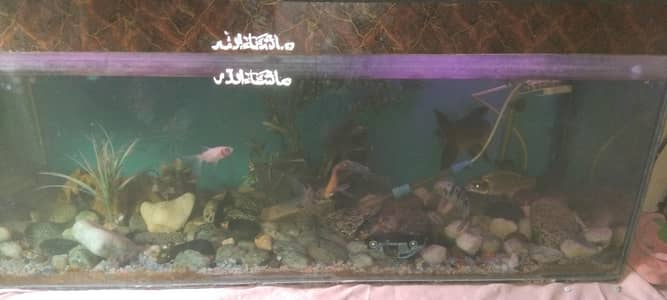 fish aquarium complete Saman ke sath
