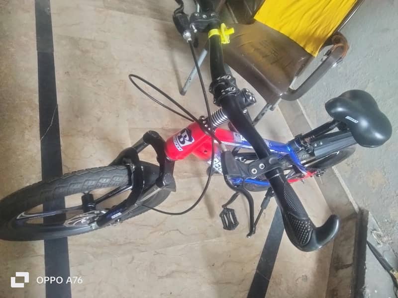 bycycle 1