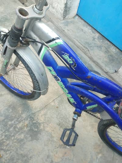 Morgan cycle size 20