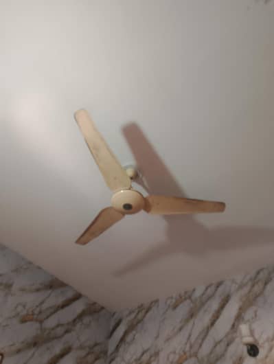 ceiling fans 100% Copper winding