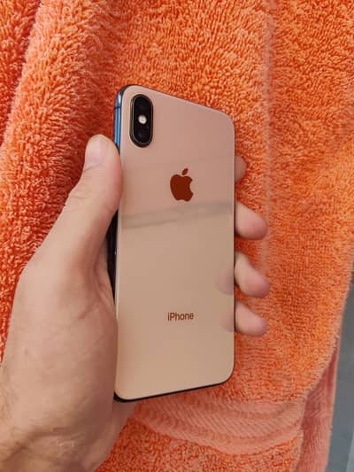 Apple iPhone X