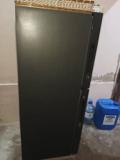 Hair Fridge 10/10