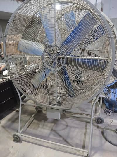 BIG FAN