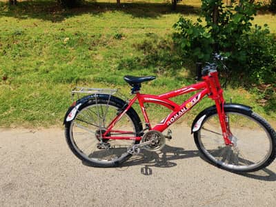 Roman Bike