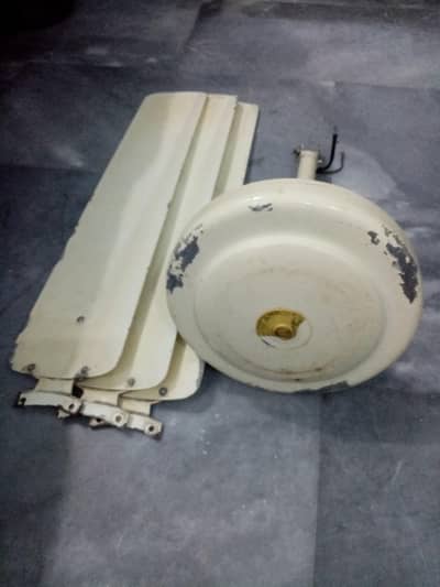 Ceiling Fan Urgent For Sale