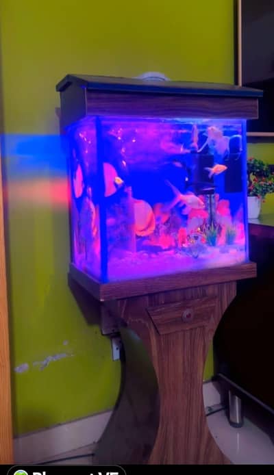 Aquarium  for sale