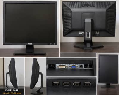 Dell P190SB 19" LCD Monitor | VGA & DVI | Adjustable Stand