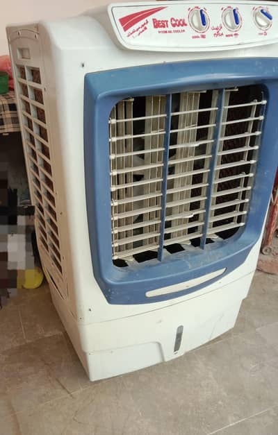 best coolor