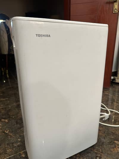 Toshiba Portable AC 1 Ton | WiFi | 110V | Chilled Cooling | 12x12 Room