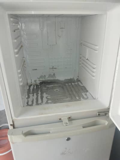 Orient Fridge Medium Size