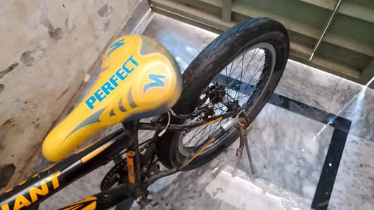 giant cycle